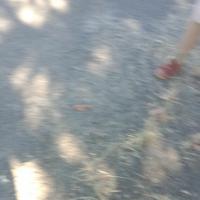 เข้าค่าย_191219_0025_resize